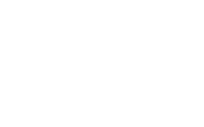 Bibi Bijoux British Designed Jewellery and Accessory