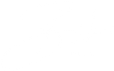 Bibi Bijoux
